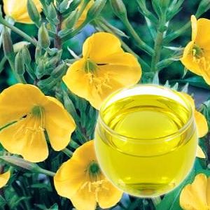 Oenothera Biennis Oil
